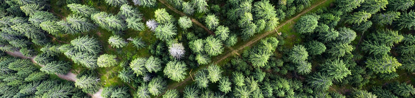 Hero Image Leave a Review 